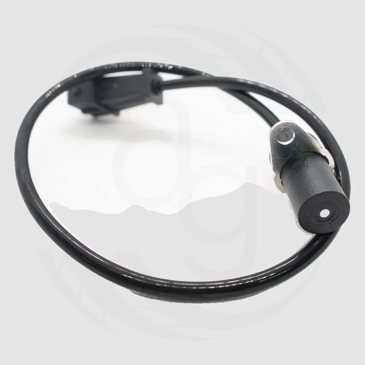 AG81076-2