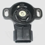 AG81336-1