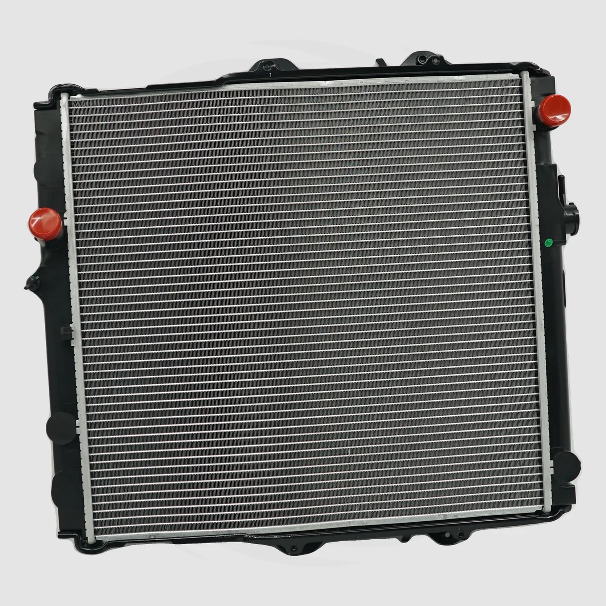 AG85621-2