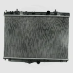 AG85813